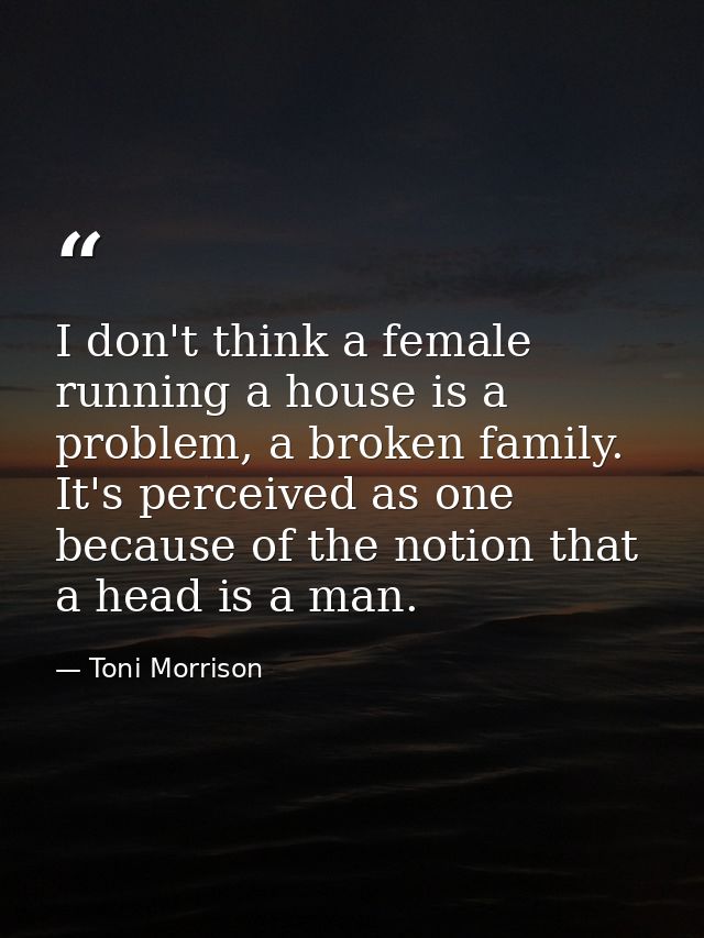 I don't think a female running a house is a problem, a broken family. It's perceived as one because of the notion that a — Toni Morrison