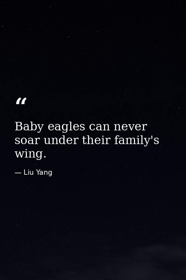 Baby eagles can never soar under their family's wing. — Liu Yang