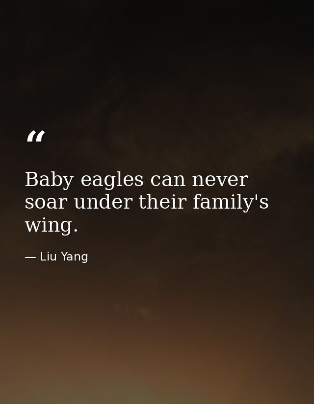 Baby eagles can never soar under their family's wing. — Liu Yang