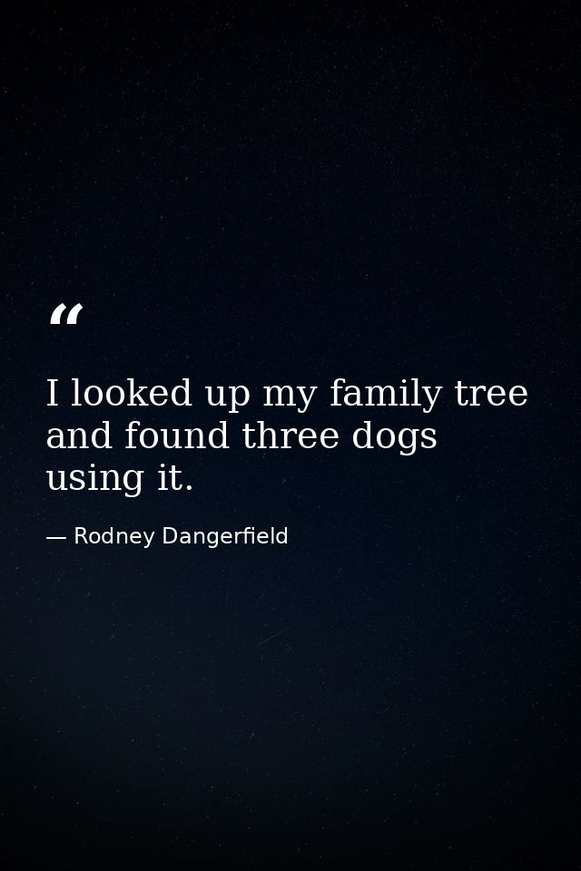 I looked up my family tree and found three dogs using it. — Rodney Dangerfield