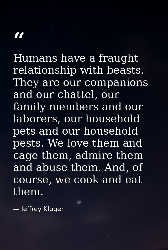 Humans have a fraught relationship with beasts. They are our companions and our chattel, our family members and our labo — Jeffrey Kluger
