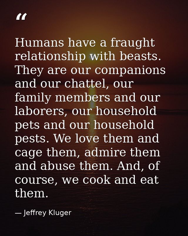 Humans have a fraught relationship with beasts. They are our companions and our chattel, our family members and our labo — Jeffrey Kluger