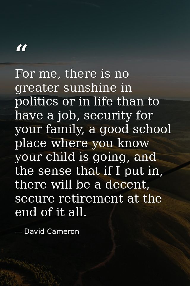 For me, there is no greater sunshine in politics or in life than to have a job, security for your family, a good school  — David Cameron
