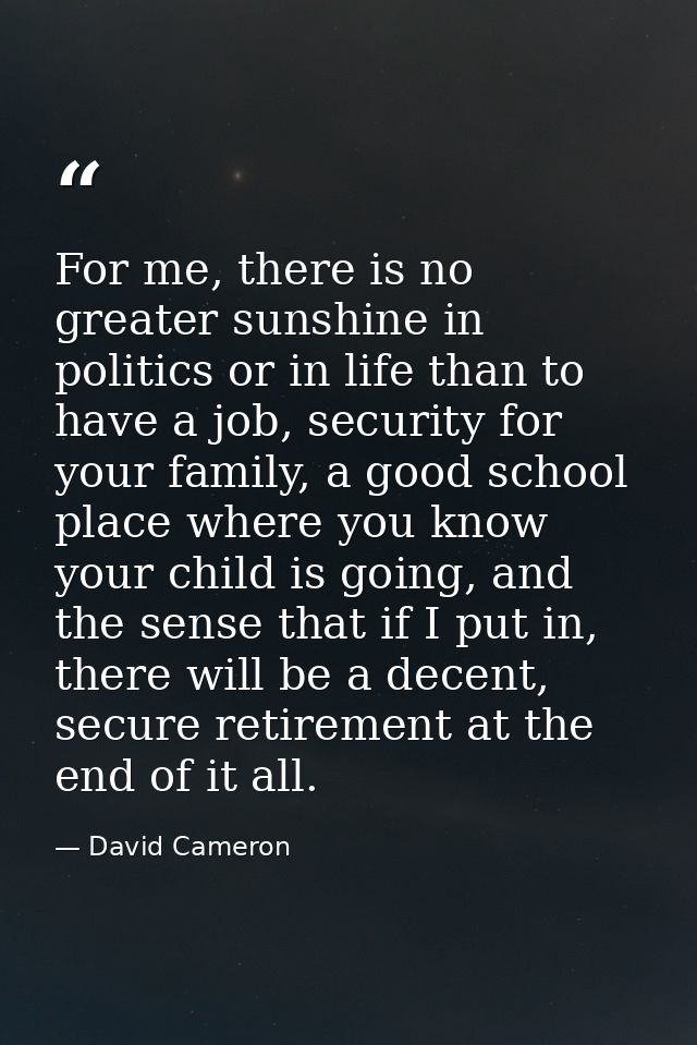 For me, there is no greater sunshine in politics or in life than to have a job, security for your family, a good school  — David Cameron