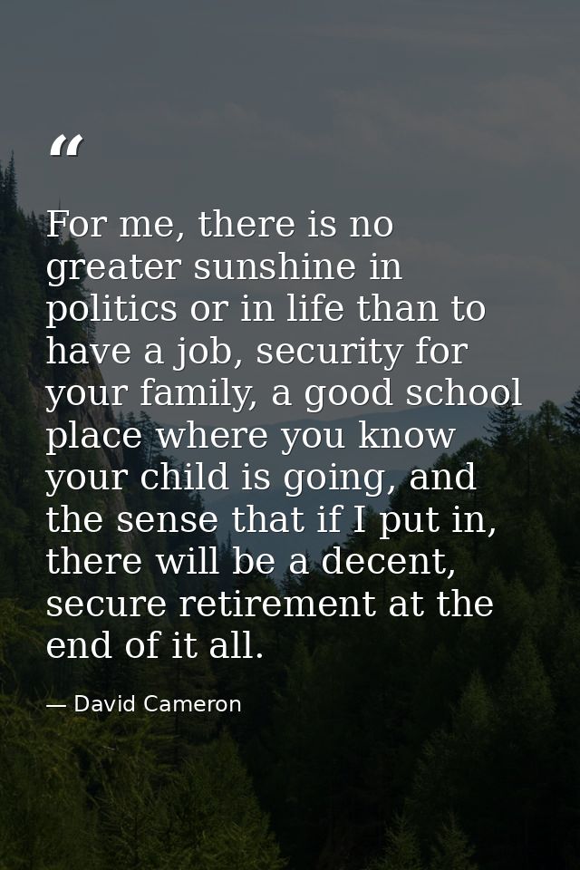 For me, there is no greater sunshine in politics or in life than to have a job, security for your family, a good school  — David Cameron