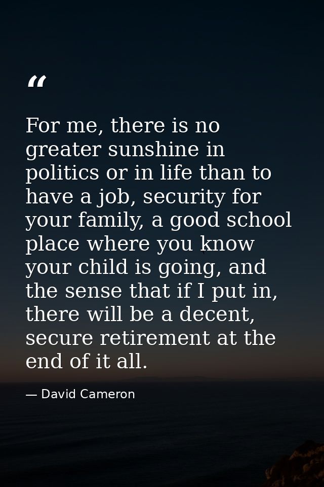 For me, there is no greater sunshine in politics or in life than to have a job, security for your family, a good school  — David Cameron