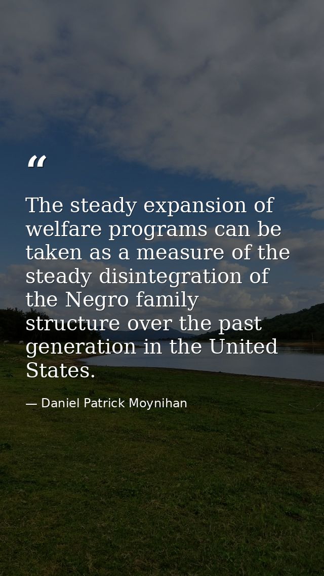 The steady expansion of welfare programs can be taken as a measure of the steady disintegration of the Negro family stru — Daniel Patrick Moynihan