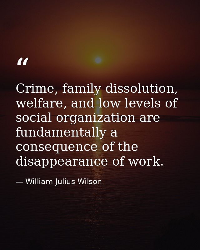 Crime, family dissolution, welfare, and low levels of social organization are fundamentally a consequence of the disappe — William Julius Wilson