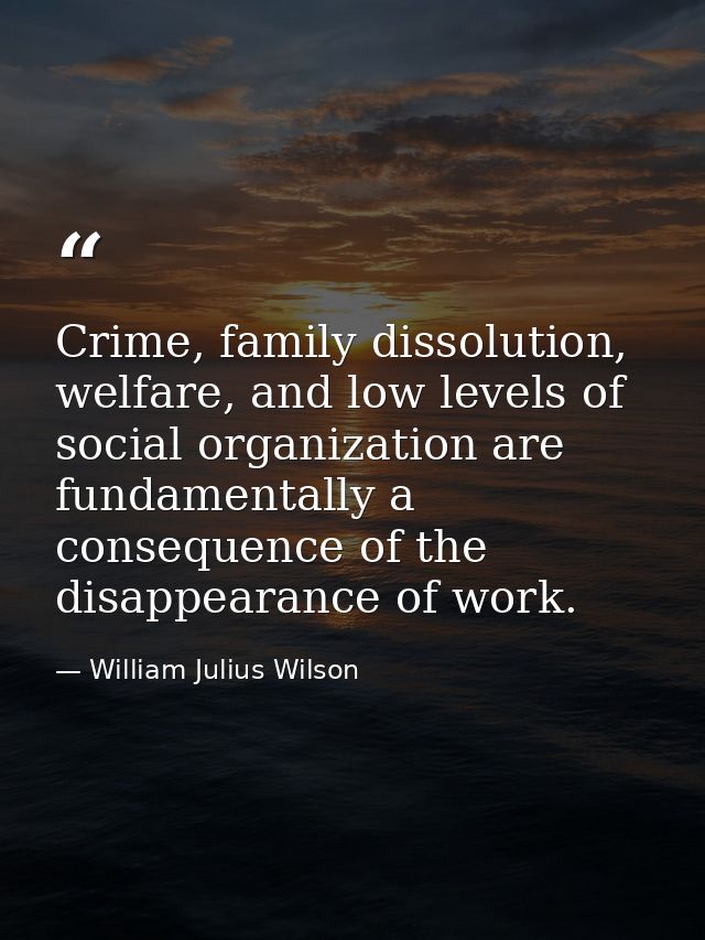 Crime, family dissolution, welfare, and low levels of social organization are fundamentally a consequence of the disappe — William Julius Wilson