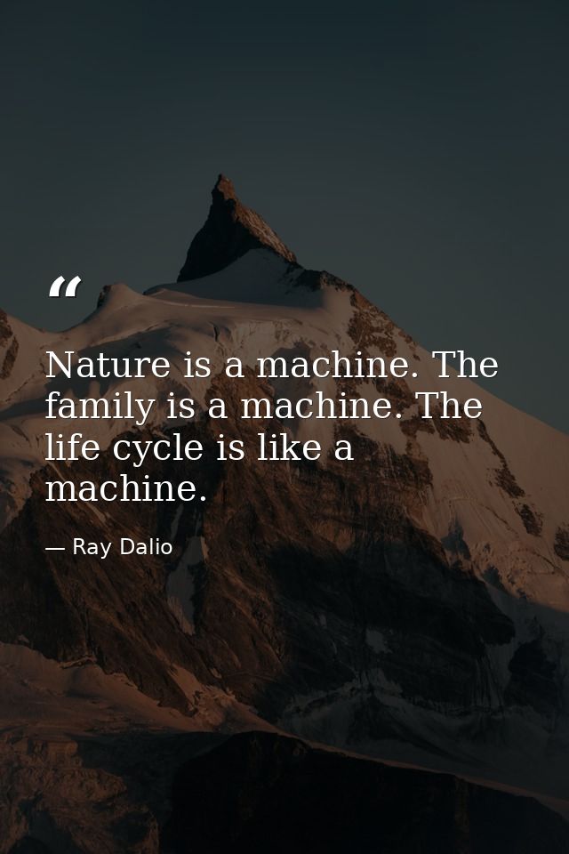 Nature is a machine. The family is a machine. The life cycle is like a machine. — Ray Dalio