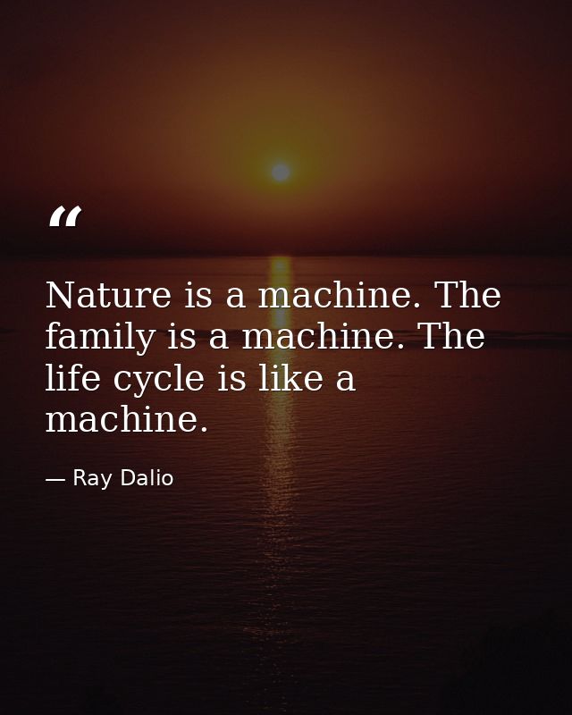 Nature is a machine. The family is a machine. The life cycle is like a machine. — Ray Dalio