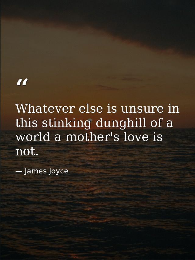 Whatever else is unsure in this stinking dunghill of a world a mother's love is not. — James Joyce