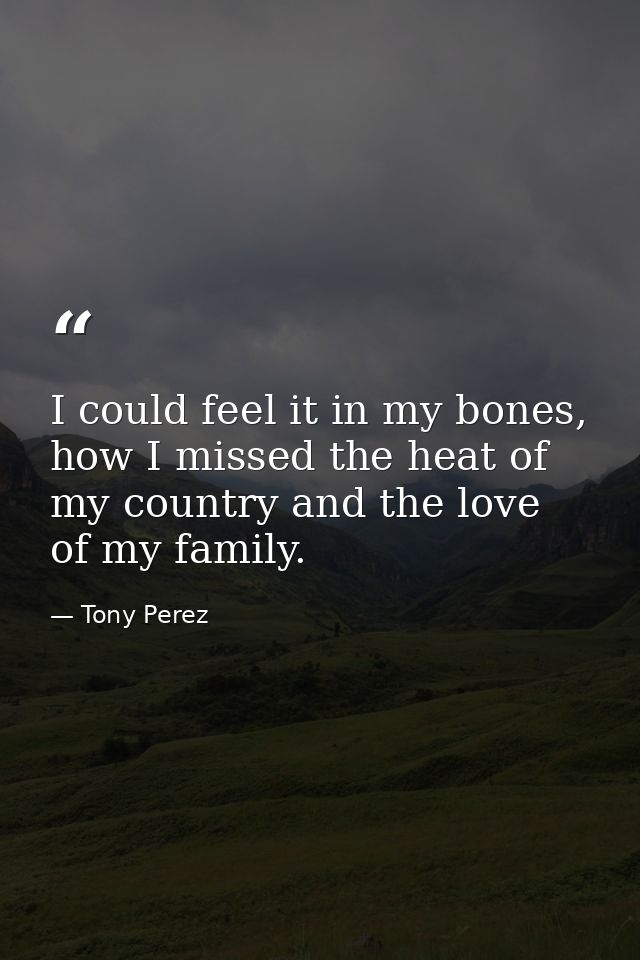 I could feel it in my bones, how I missed the heat of my country and the love of my family. — Tony Perez