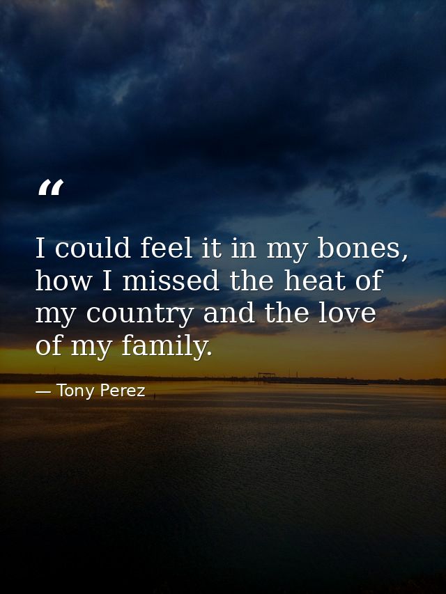 I could feel it in my bones, how I missed the heat of my country and the love of my family. — Tony Perez
