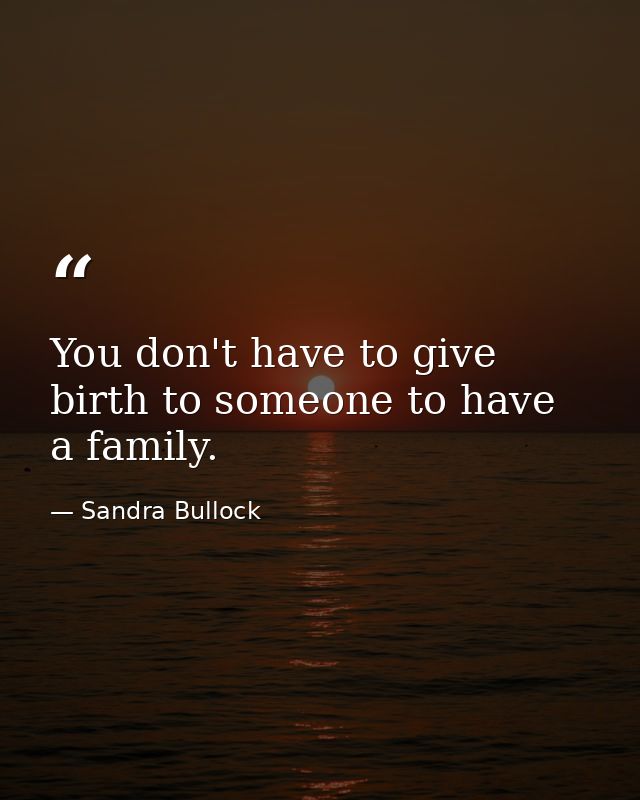 You don't have to give birth to someone to have a family. — Sandra Bullock
