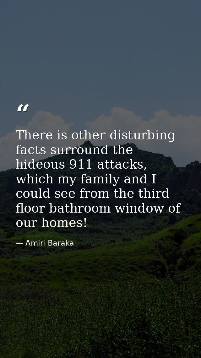 There is other disturbing facts surround the hideous 911 attacks, which my family and I could see from the third floor b — Amiri Baraka
