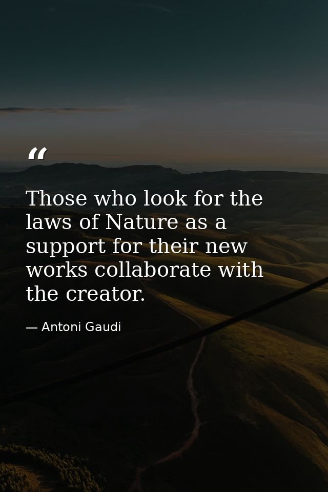 Those who look for the laws of Nature as a support for their new works collaborate with the creator. — Antoni Gaudi