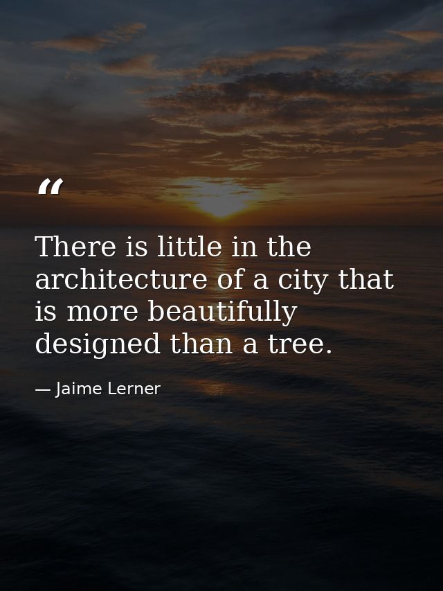 There is little in the architecture of a city that is more beautifully designed than a tree. — Jaime Lerner