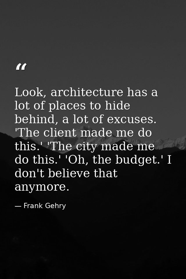 Look, architecture has a lot of places to hide behind, a lot of excuses. 'The client made me do this.' 'The city made me — Frank Gehry