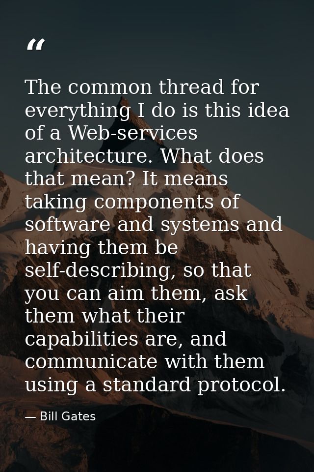The common thread for everything I do is this idea of a Web-services architecture. What does that mean? It means taking  — Bill Gates