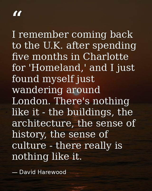 I remember coming back to the U.K. after spending five months in Charlotte for 'Homeland,' and I just found myself just  — David Harewood