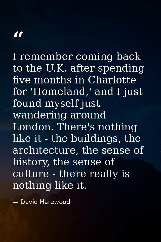 I remember coming back to the U.K. after spending five months in Charlotte for 'Homeland,' and I just found myself just  — David Harewood