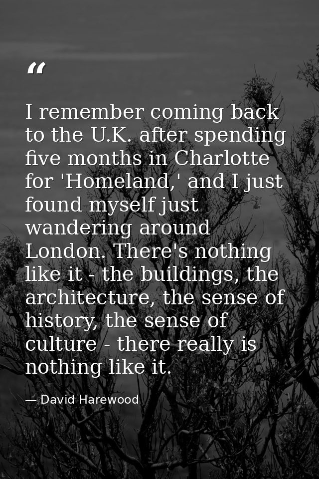 I remember coming back to the U.K. after spending five months in Charlotte for 'Homeland,' and I just found myself just  — David Harewood