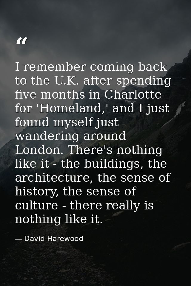 I remember coming back to the U.K. after spending five months in Charlotte for 'Homeland,' and I just found myself just  — David Harewood