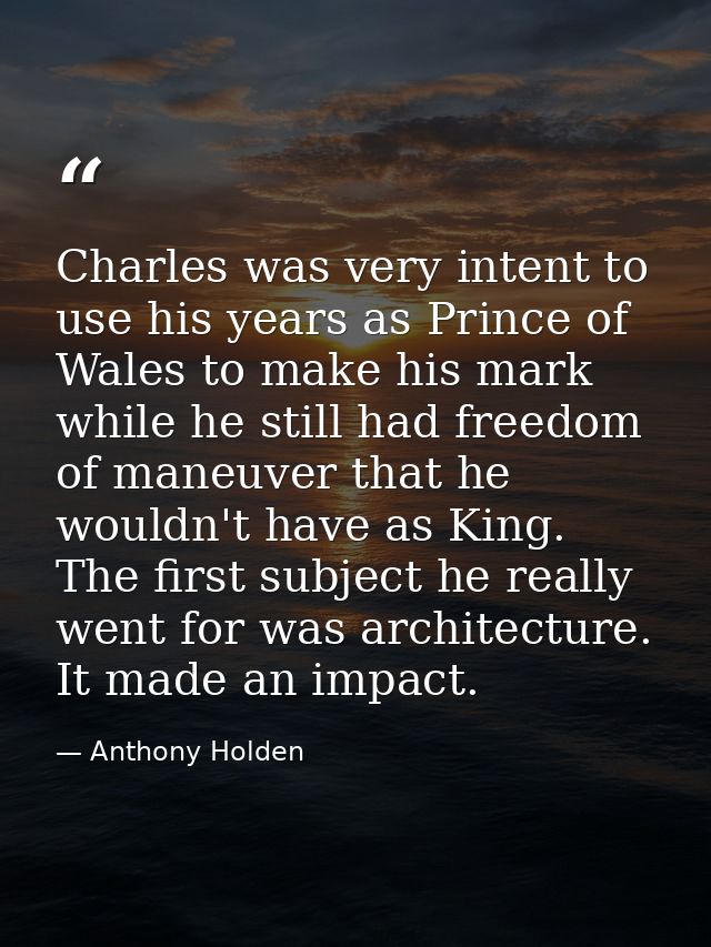 Charles was very intent to use his years as Prince of Wales to make his mark while he still had freedom of maneuver that — Anthony Holden