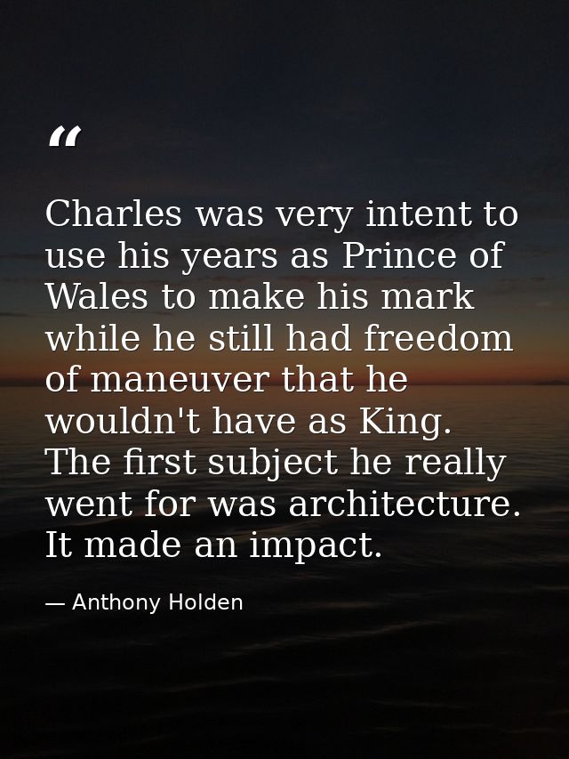 Charles was very intent to use his years as Prince of Wales to make his mark while he still had freedom of maneuver that — Anthony Holden
