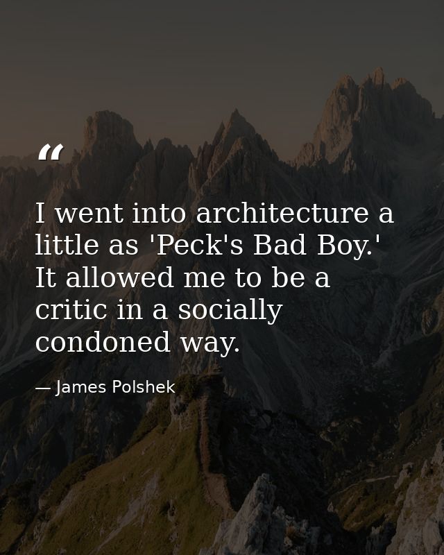 I went into architecture a little as 'Peck's Bad Boy.' It allowed me to be a critic in a socially condoned way. — James Polshek
