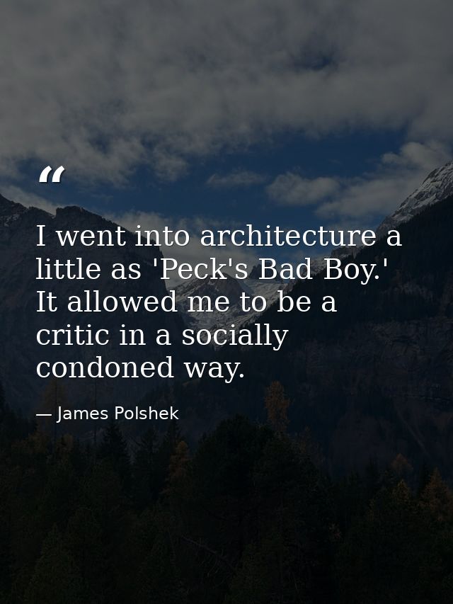 I went into architecture a little as 'Peck's Bad Boy.' It allowed me to be a critic in a socially condoned way. — James Polshek
