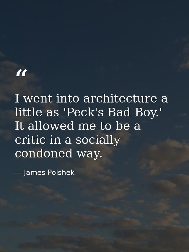 I went into architecture a little as 'Peck's Bad Boy.' It allowed me to be a critic in a socially condoned way. — James Polshek