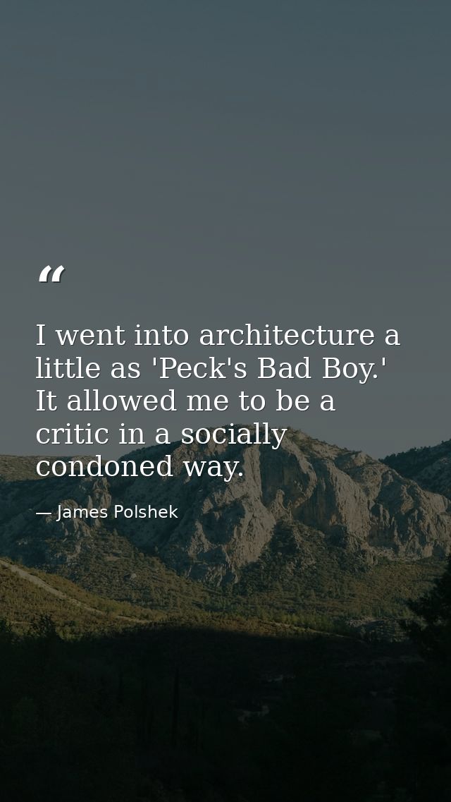 I went into architecture a little as 'Peck's Bad Boy.' It allowed me to be a critic in a socially condoned way. — James Polshek