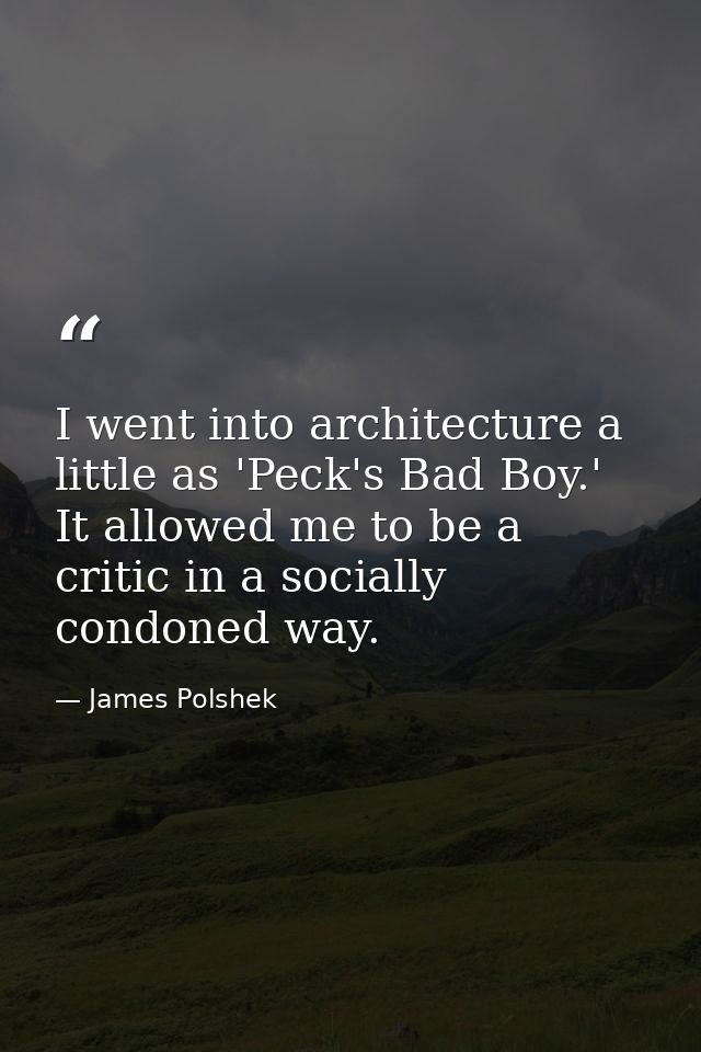 I went into architecture a little as 'Peck's Bad Boy.' It allowed me to be a critic in a socially condoned way. — James Polshek