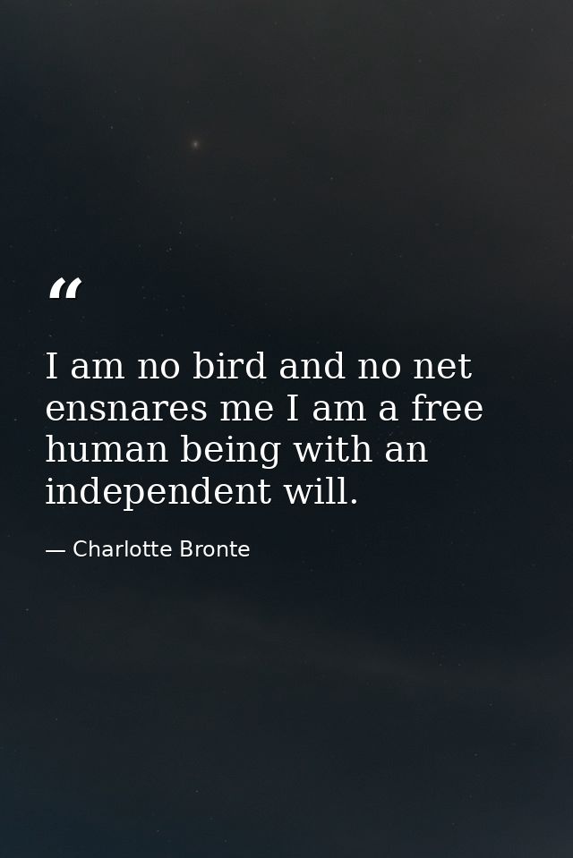 I am no bird and no net ensnares me I am a free human being with an independent will. — Charlotte Bronte