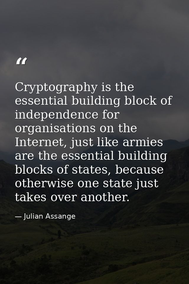 Cryptography is the essential building block of independence for organisations on the Internet, just like armies are the — Julian Assange