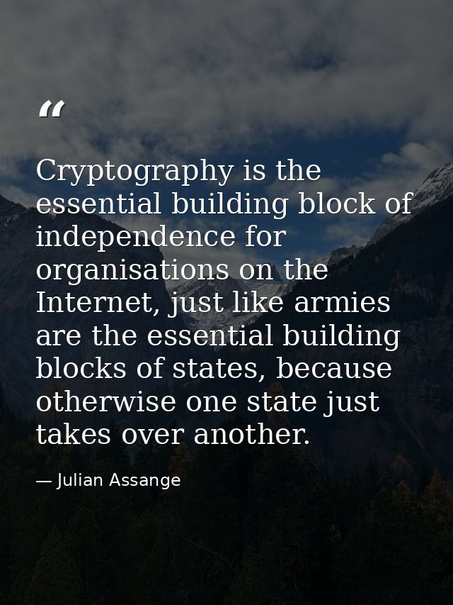 Cryptography is the essential building block of independence for organisations on the Internet, just like armies are the — Julian Assange