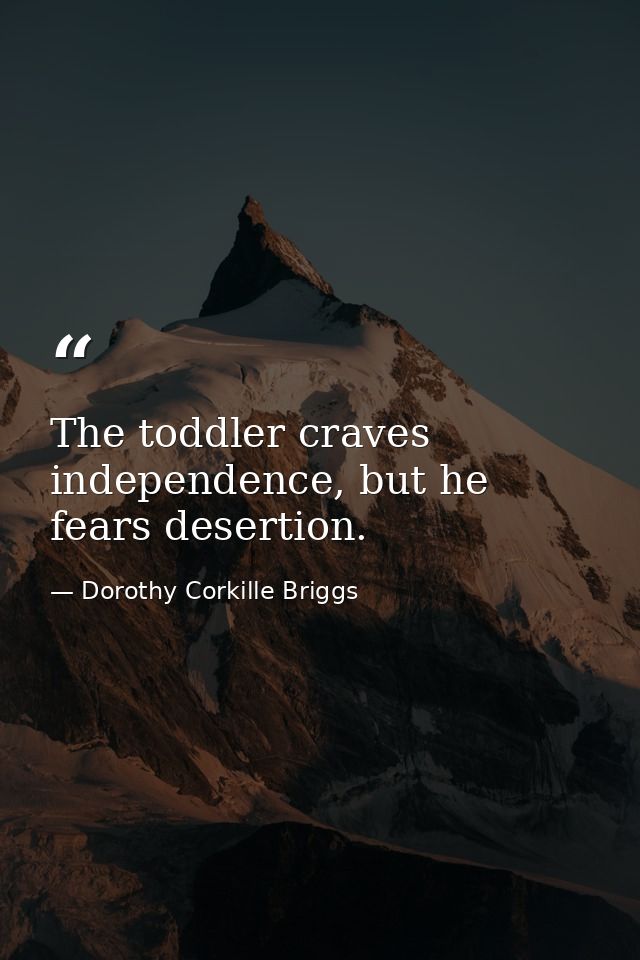 The toddler craves independence, but he fears desertion. — Dorothy Corkille Briggs