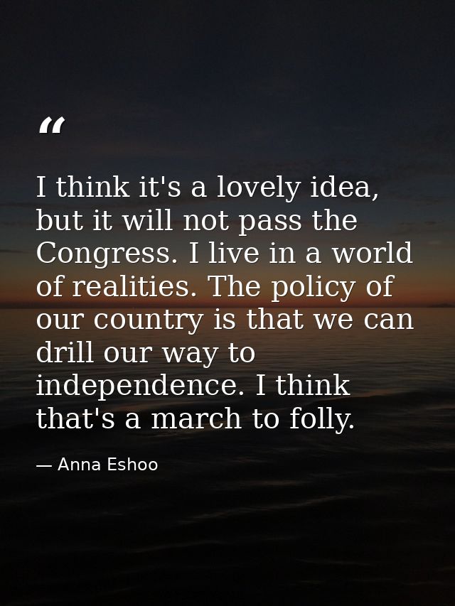 I think it's a lovely idea, but it will not pass the Congress. I live in a world of realities. The policy of our country — Anna Eshoo