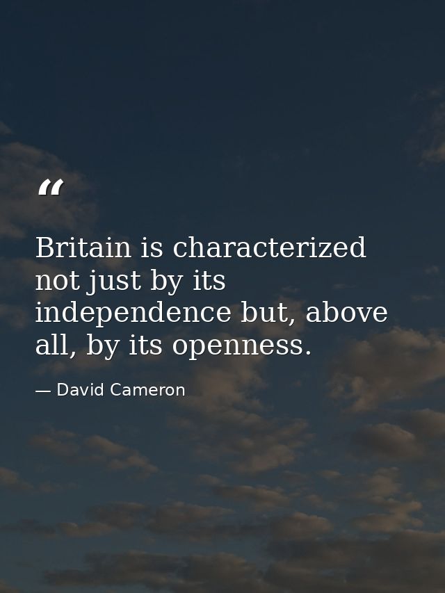 Britain is characterized not just by its independence but, above all, by its openness. — David Cameron