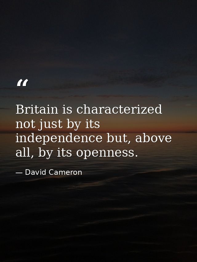 Britain is characterized not just by its independence but, above all, by its openness. — David Cameron