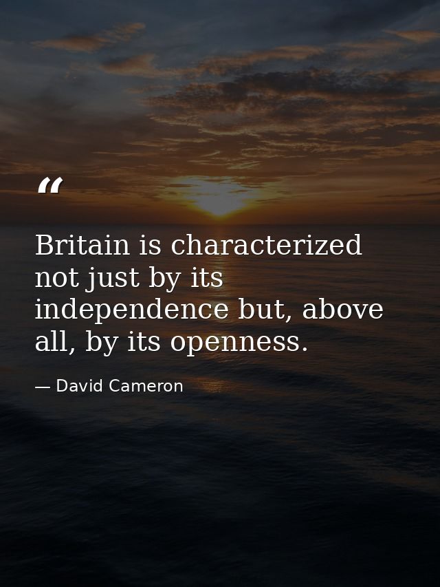 Britain is characterized not just by its independence but, above all, by its openness. — David Cameron