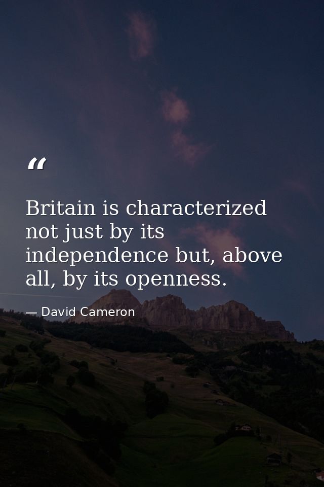 Britain is characterized not just by its independence but, above all, by its openness. — David Cameron