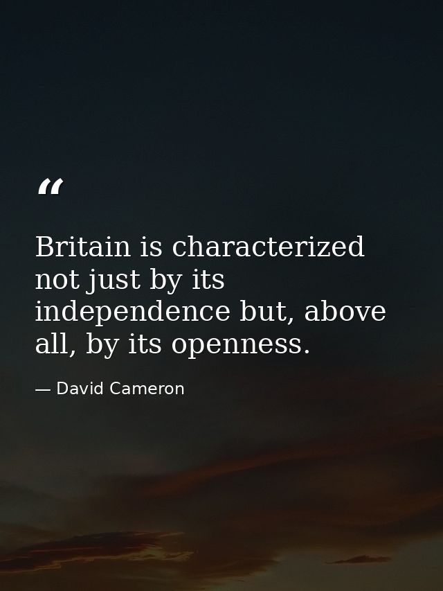 Britain is characterized not just by its independence but, above all, by its openness. — David Cameron