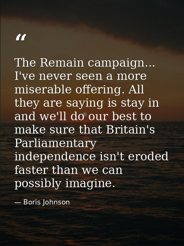 The Remain campaign... I've never seen a more miserable offering. All they are saying is stay in and we'll do our best t — Boris Johnson