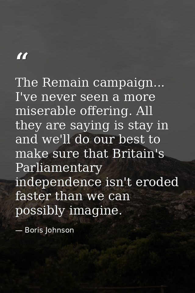 The Remain campaign... I've never seen a more miserable offering. All they are saying is stay in and we'll do our best t — Boris Johnson