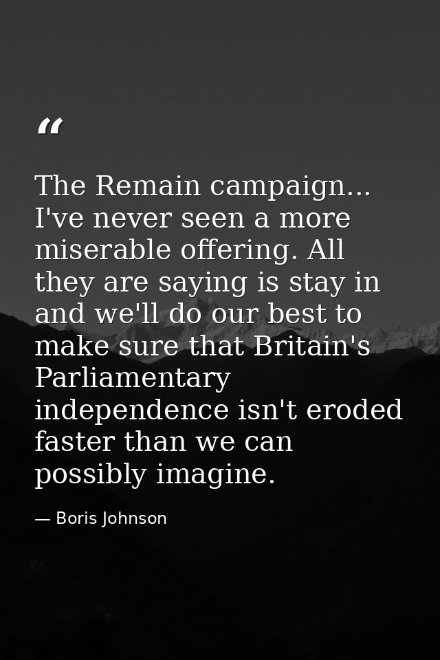 The Remain campaign... I've never seen a more miserable offering. All they are saying is stay in and we'll do our best t — Boris Johnson