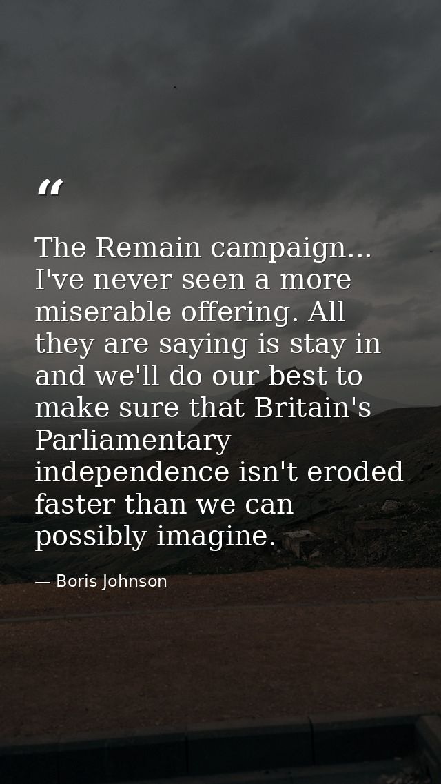 The Remain campaign... I've never seen a more miserable offering. All they are saying is stay in and we'll do our best t — Boris Johnson
