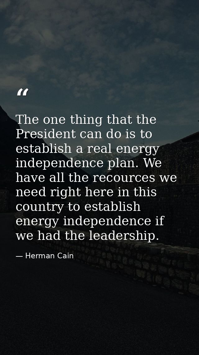 The one thing that the President can do is to establish a real energy independence plan. We have all the recources we ne — Herman Cain